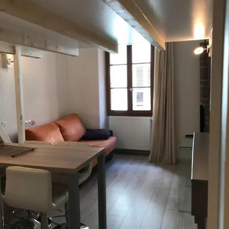 Appartement Le Semnoz - Avec Mezzanine Au Cœur De La Vieille Annecy